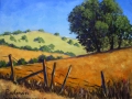 Rodman_StageRdPescadero_2012.jpg